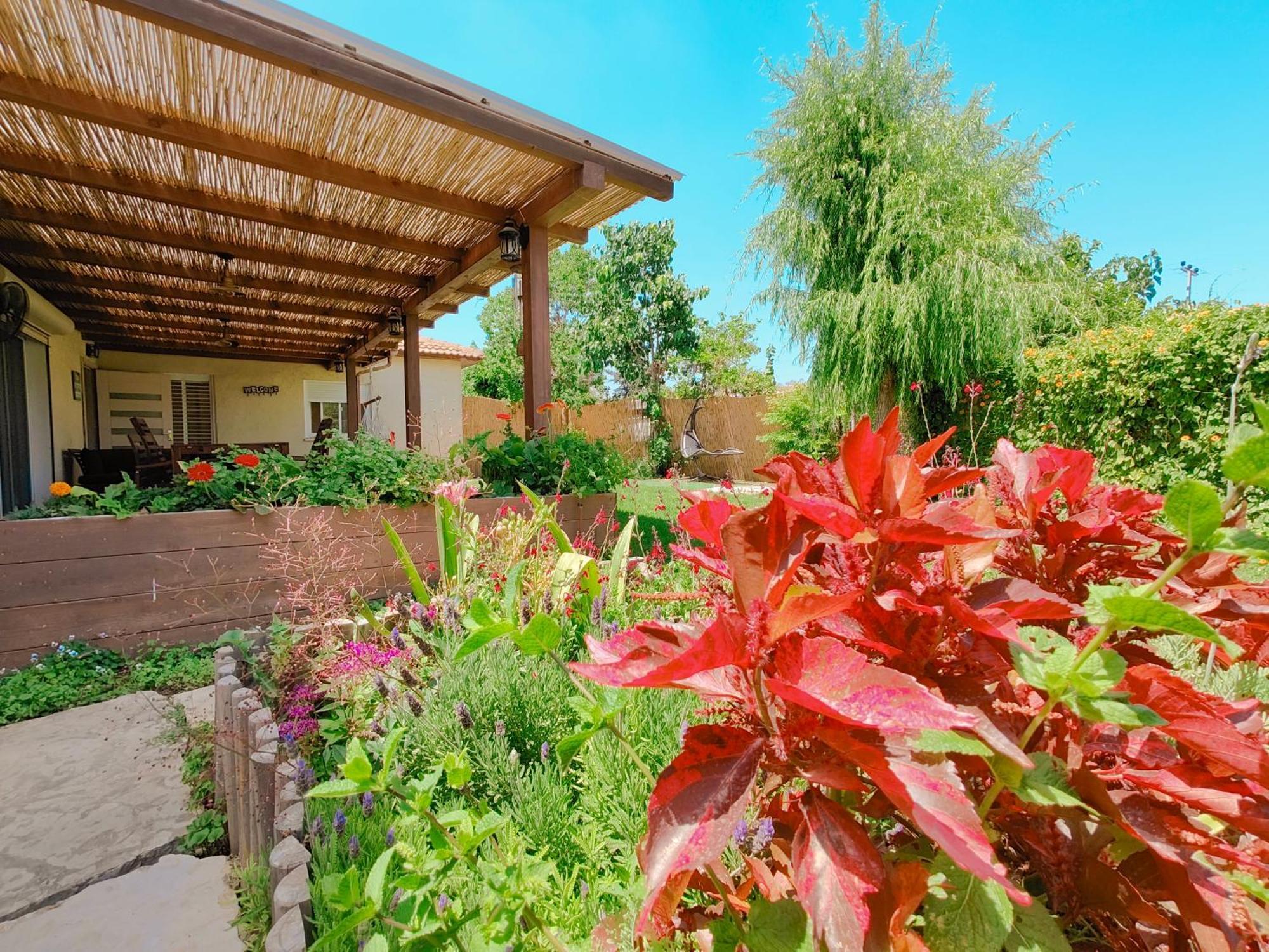 Galilee Best Location 'En Dor Phòng bức ảnh