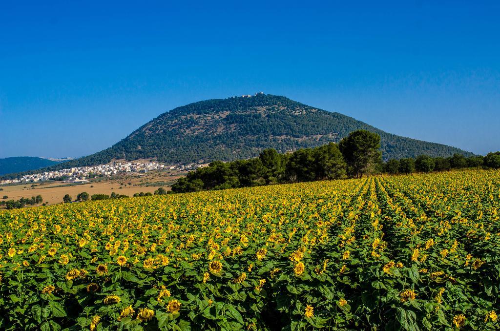Galilee Best Location 'En Dor Ngoại thất bức ảnh